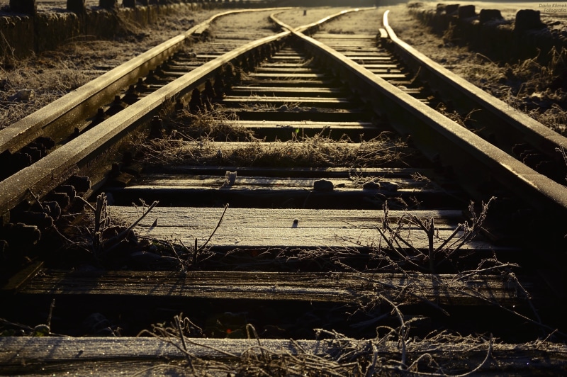 track, the railways, metal, abandoned, 4K, steel, diminishing perspective, Way, grass, direction, land, Light, railroad Track, sunlight, daytime, the way forward