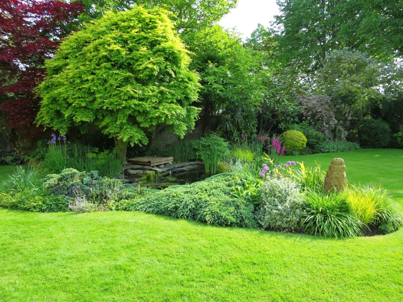 green, tranquility, formal Garden, plant, park - Man Made Space, lush foliage, tranquil scene, nature, grass, 4K, ornamental Garden, tree, bush, bath in england