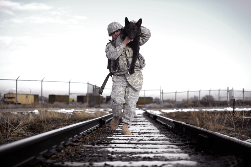 love, service, transportation, railroad tracks, walking, obscured face, load, train, rail transportation, dog, affection, full length, railroad Station Platform