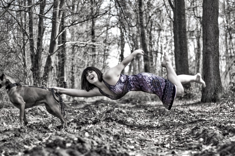 day, tree, healthy Lifestyle, only women, land, one woman only, young Women, forest, dog, woman, happiness, holds, beautiful, purple, lifestyles, woodland