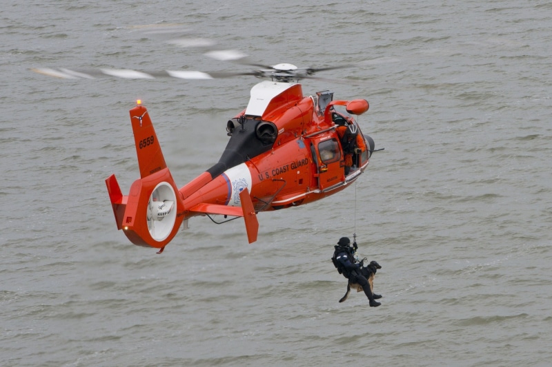 mission, sport, adventure, saving, men, day, helo, red, sea, nature, rescue, usa, emergency, real people, transportation, rope, chopper, mode of transportation