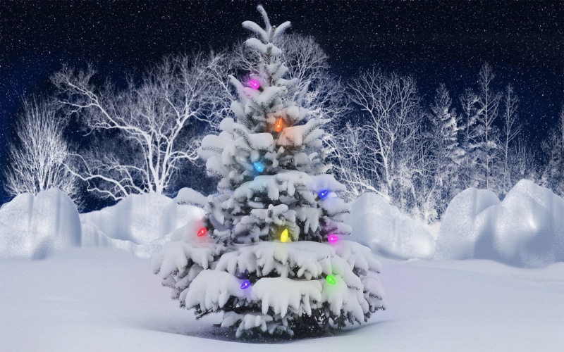 pine, tree, 1080P, star, outdoors, christmas, merry christmas, painting, covered, holidays, winter, 1920x1200, snow