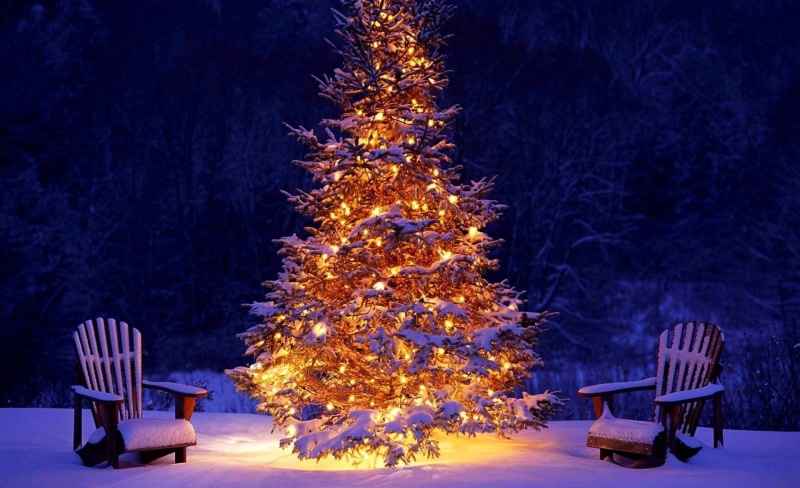 Winter, tree, christmas ornament, Snow, cold temperature, christmas decoration, nature, Christmas, no people, night, Holidays, christmas tree, celebration