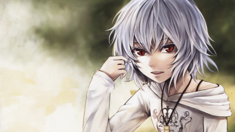 scans, girls, 1080P, necklaces, casual, eyes, video, short, open, clothing, anime, pupils, faces, slit, touhou, close up, vampires, scarlet, gray, red