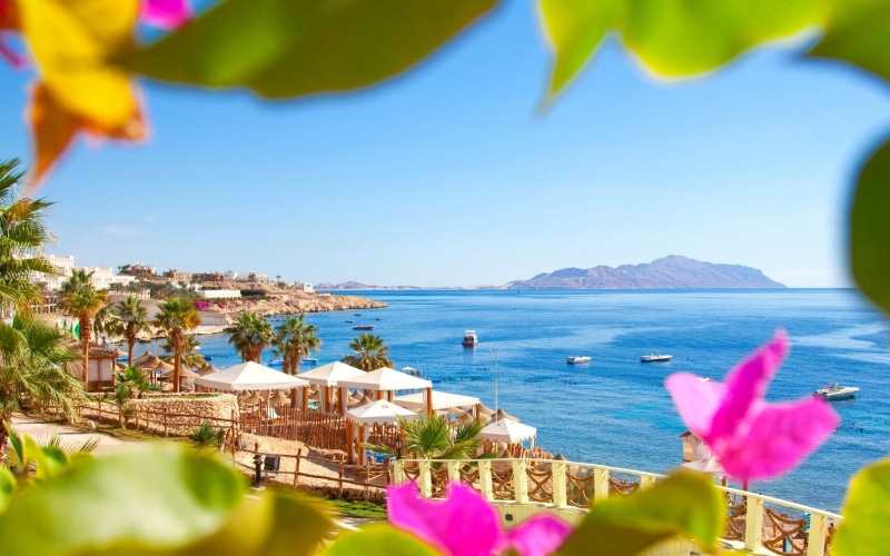 egypt, beach, 2K, palm trees, sea, resort