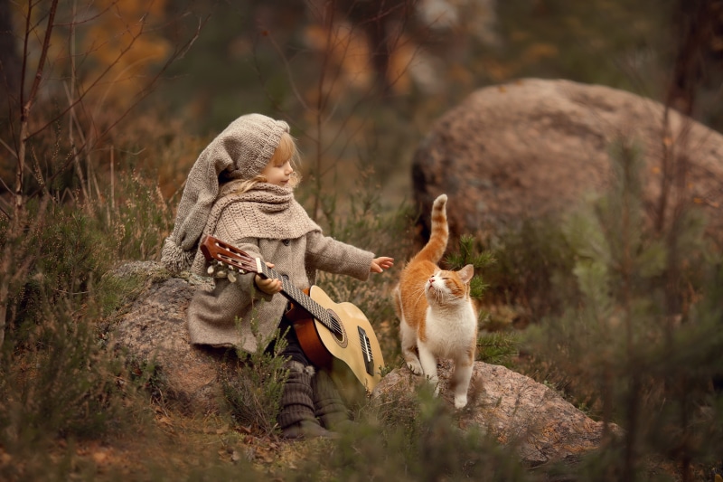 togetherness, no people, mammal, musical instrument, nature, guitar, children, solid, selective focus, land, depth of field, day, tree, focus on foreground