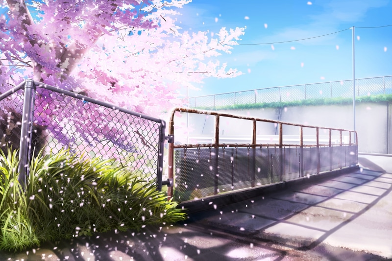 petals, plant, boundary, water, nature, fence, outdoors, 1080P, growth, cherry blossom, pink color, architecture, Anime, flowering plant, tree, day, flower