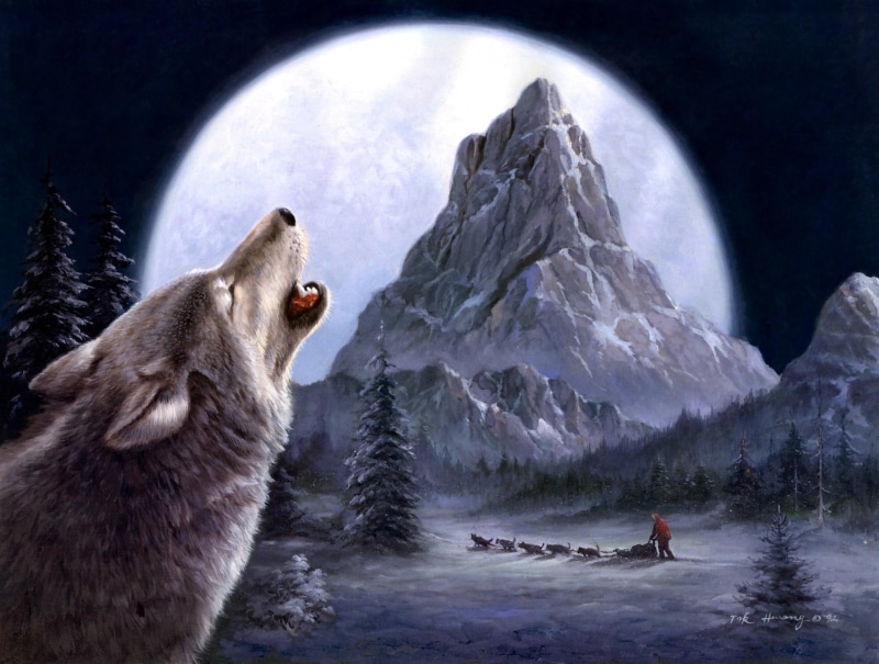 scenic, wolf, 1080P, mountain, 3d and abstract, howl, winter, sledge