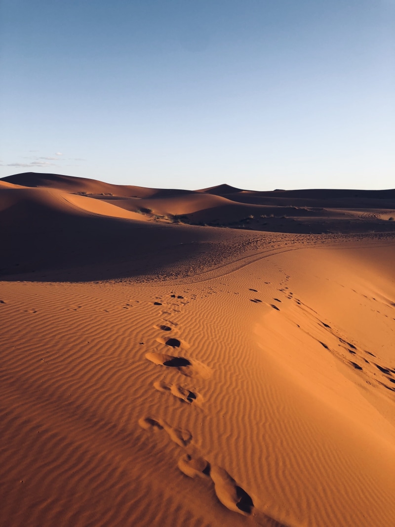 desert, outdoors, footsteps, non-urban scene, clear sky, sand, sand dune, scenics - nature, nature, land, beauty in nature, no people, day, tranquility