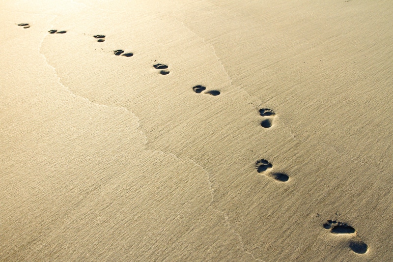 landscape, high angle view, beach, foot, tranquility, land, beauty in nature, backgrounds, track - imprint, grey, day, no people, trip, paw print, footsteps