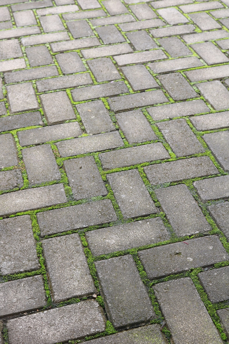 stone, close-up, pattern, paving, pavement, repetition, concrete, 2K, footstep, backgrounds, ground, cobblestone, footpath, design, city, tile, avenue