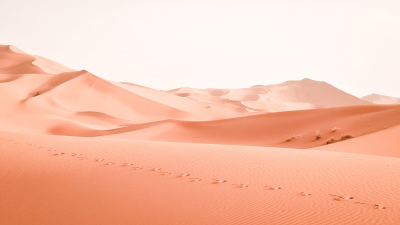 photography, dune, sand Dune, land, wilderness Area, 4K, copy Space, sand, arid, pink color, climate, beauty in nature, sky, arid Climate, liquid, nature