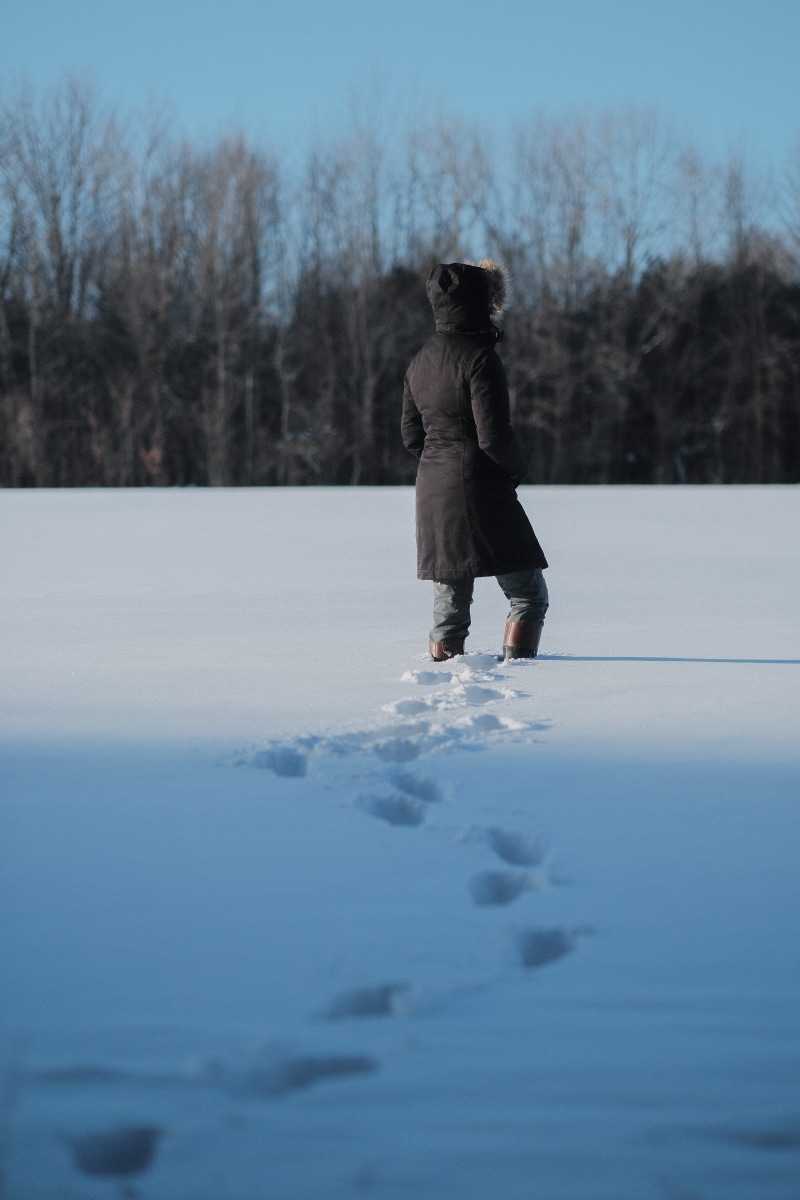 plant, 5K, lifestyles, exploration, leisure activity, women, winter, frozen, real people, standing, clothing, warm clothing, cold, walking, day, full length