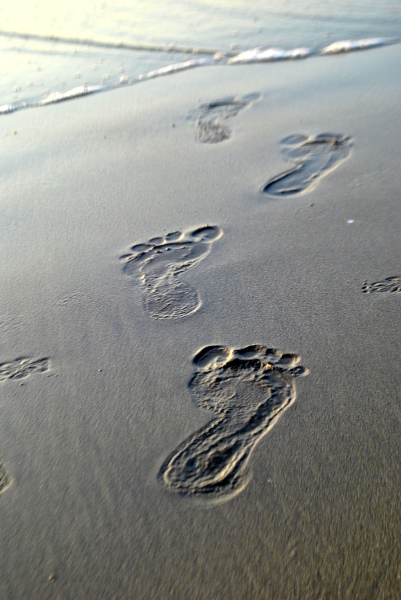 footsteps, tranquility, water, outdoors, footprints, 4K, beauty in nature, land, print, beach, high angle view, direction, day, barefoot, summer, traces