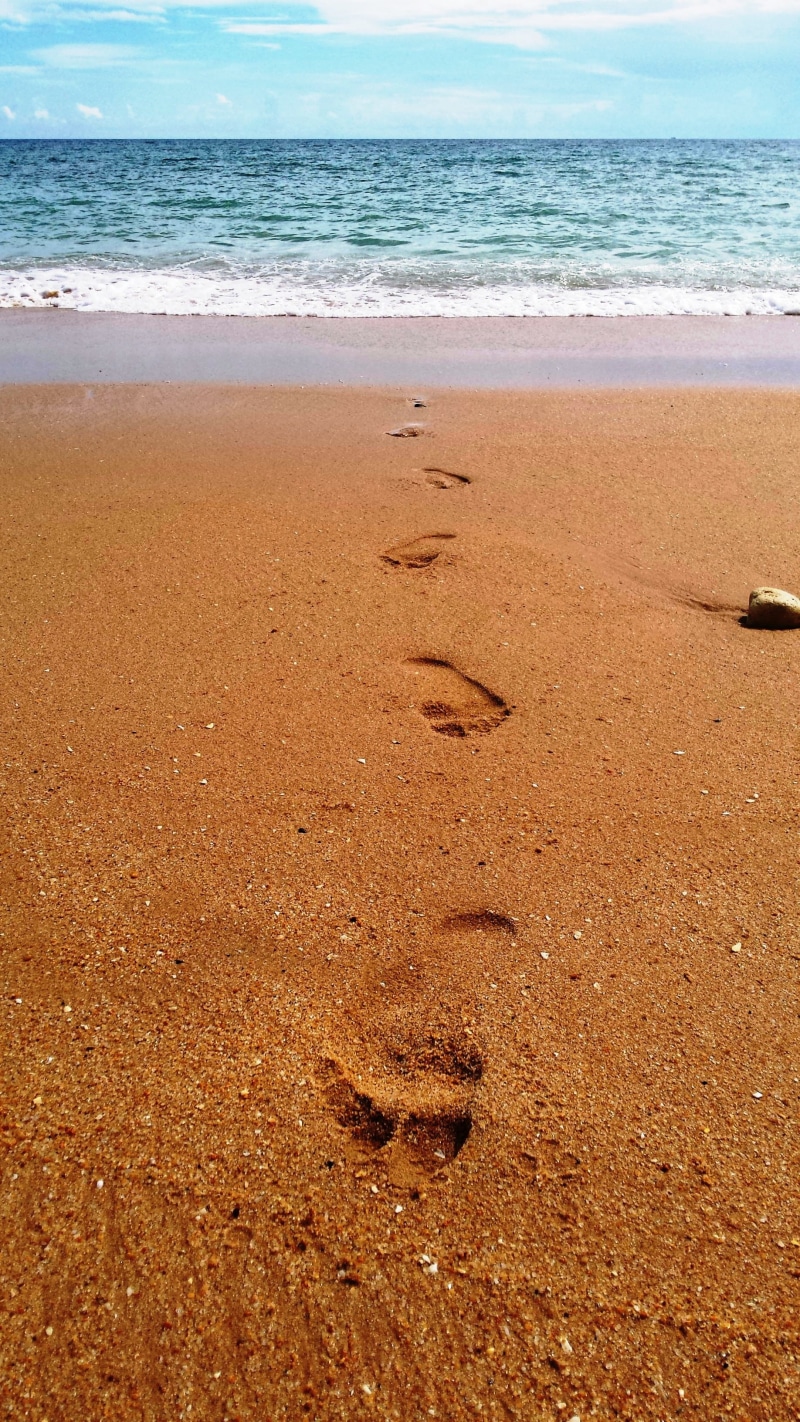 walk, footsteps, footprint, sea, track, prints, steps, beach, daytime, scenics - nature, summer, land, water, barefoot, human foot, 2K, no people, wave