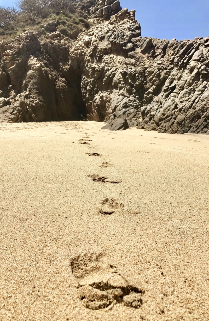 footsteps, scenics - nature, desert, shore, rock, 4K, sayulita, shoreline, nature, textured, solid, sunny, tranquility, ocean, formation, no people, day