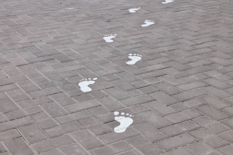 imprint, human representation, footpath, bird, outdoors, steps, paper, representation, pattern, paving stone, no people, cobblestone, 4K, day, flooring
