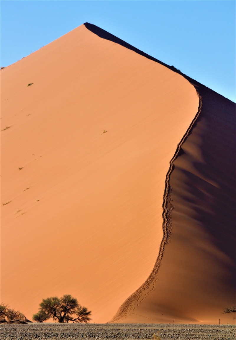 sunlight, landscape, outdoor, dune 45, 4K, desert, sunny, hike, climb, walk, high, hill, day, tranquility, climate, sand dune, path, nature, sesriem, upward