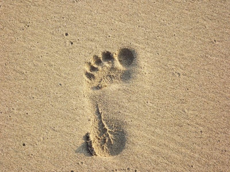 Sand, nature, day, animal track, footprint, Footstep, Print, sunlight, land, pattern, sand print, animal themes, animals in the wild, outdoors, high angle view