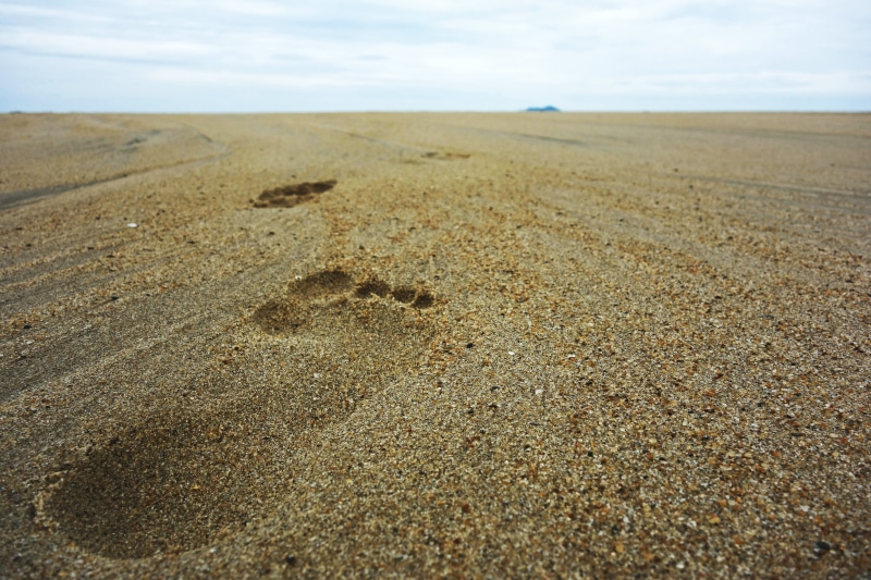 footsteps, barefoot, cloud - sky, walk, land, sand, no people, summer, vacation, sea, surface level, outdoors, remote, beach, horizon, nature, tranquility