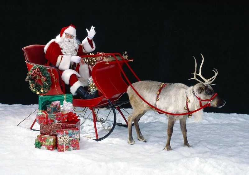 bag, miniature, gift, year, tree, santa, cold temperature, gifts, hat, sleigh, christmas, holiday, deer, humor, claus, christmas decoration, santa Claus