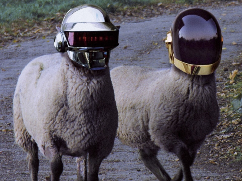 funny, photomanipulations, sheep, daft, helmets, punk, 1080P