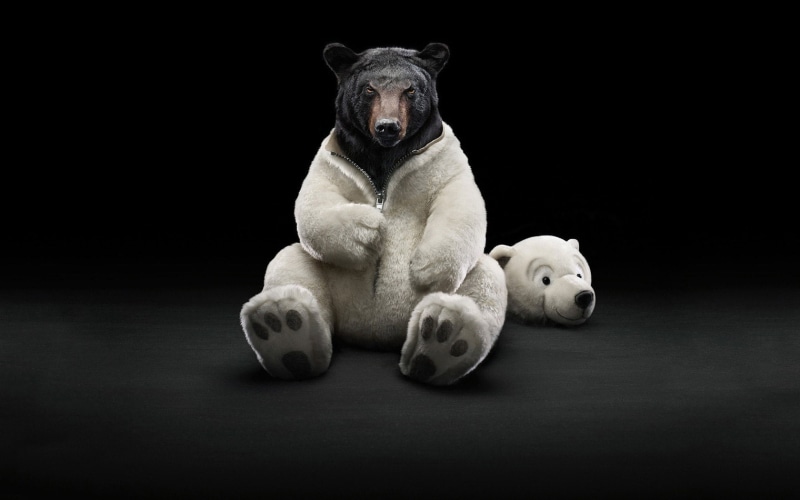 x, hd, art, photomanipulation, bears, 720P, animals
