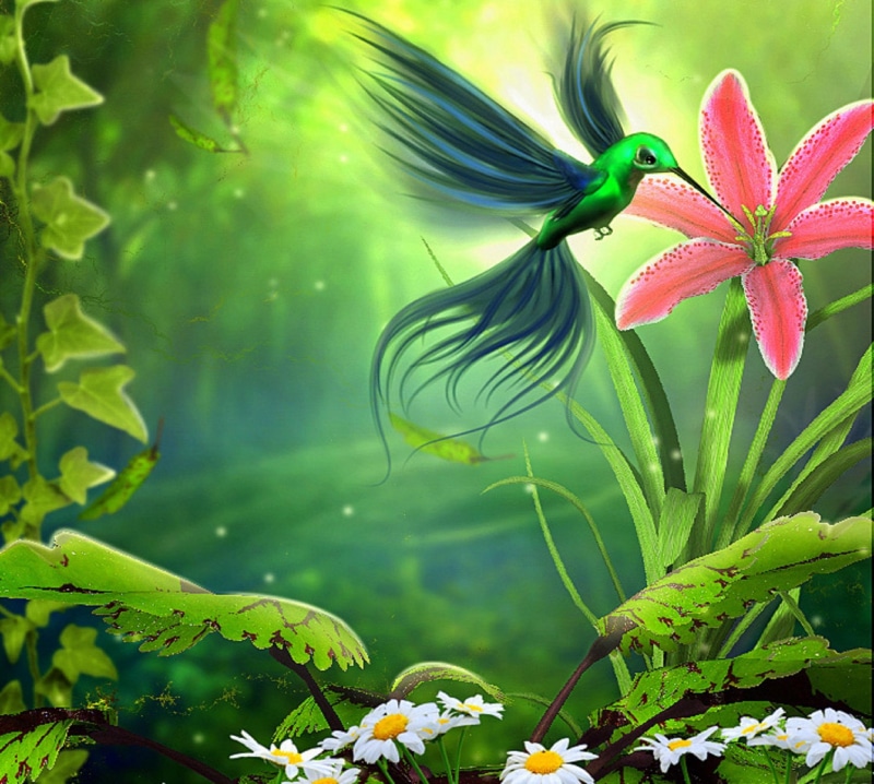 nature, pink, cute, beautiful, green, nectar, painting, lovely, landing, digital-art, softness-beauty, lily, sucking, bird, 2K, animals, backgrounds, photomanipulation