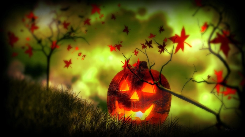 o, nature, skull, leaves, horror, fall-season, photomanipulation, jack, 2K, backgrounds, lantern, trees, halloween, macabre, autumn