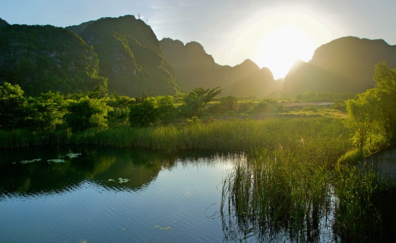 travel, tam coc, environment, asia, ninh binh, background, lake, nature, cliff, tree, tranquility, vietnam, paddy field, green, beauty in nature, sun, landscape