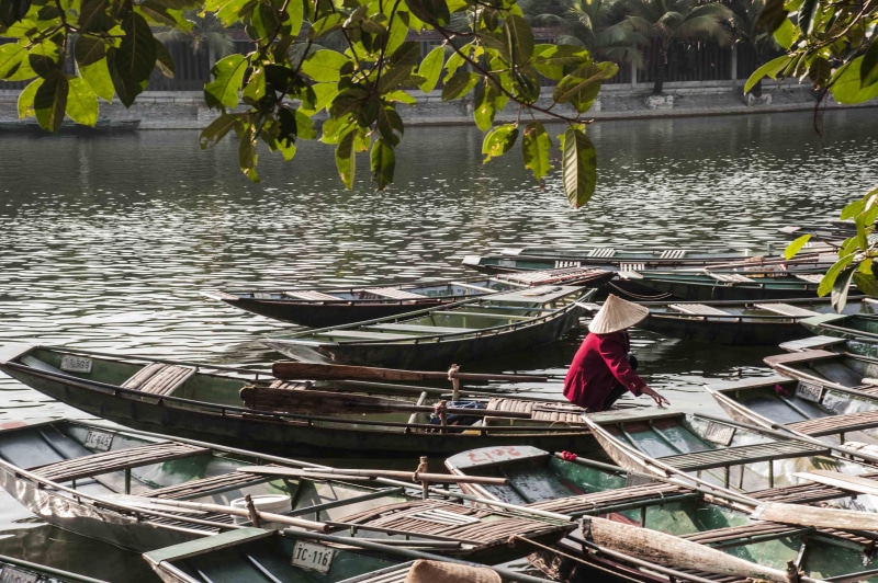 clothing, nature, women, lake, vietnam, plant, 4K, real people, tree, day, tam coc ninh binh, nautical vessel, water, hat, transportation, moored, rowboat