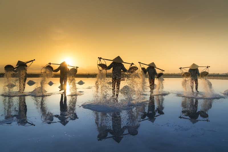sunset, dusk, golden, hard, the morning, baskets, nature, hour, sunlight, summer, field, ninh thuan, beauty in nature, dawn, nha trang, group of people
