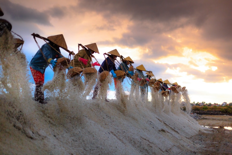 farmer, province, green, land, sea, salts, dawn, harvest, in a row, sunlight, salt, the tradition, travel, tropical, sunset, men, page, beach, buckets