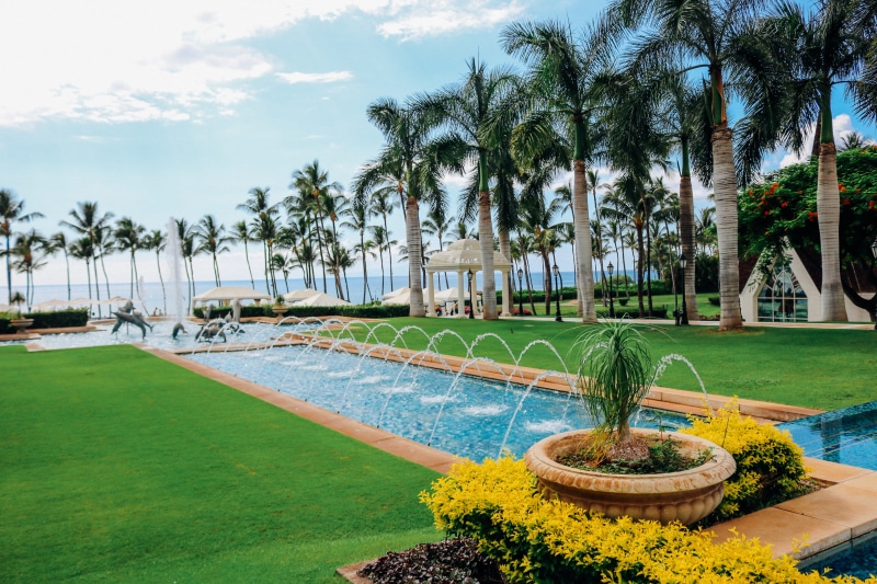 pool water, plant, hotel service, trees, coconut, relaxation, green Color, tree, nature, blue, grass, design, beach, business, relax, travel Locations