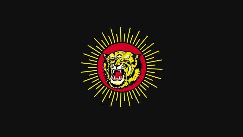 1080P, Flag, Tiger, Naam Tamilar, NTK, Tamil nadu