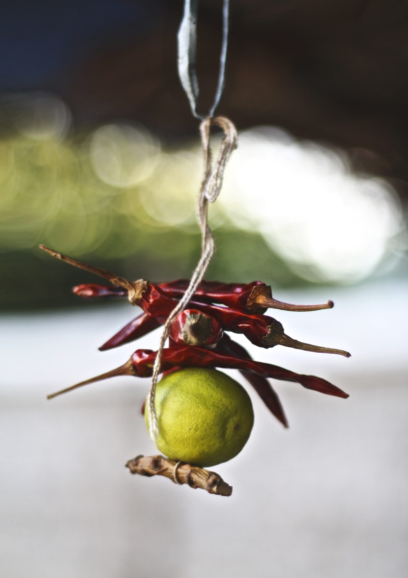 food and drink, cherry, 4K, good luck, lemon, wellbeing, hanging, india, green color, nazar, healthy eating, close-up, plant, red, freshness, coimbatore