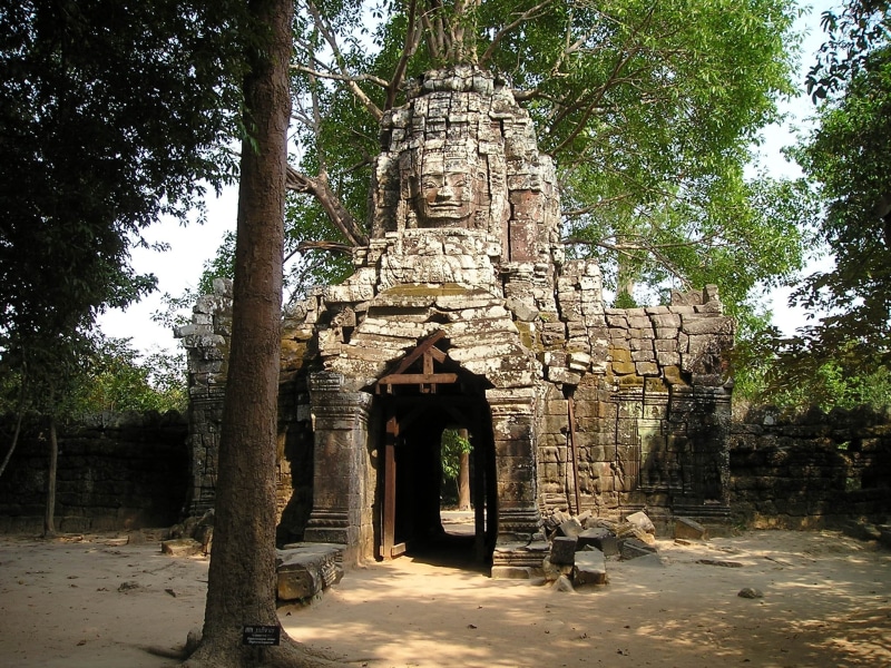 jungle, ancient civilization, cambodia, temple, day, architecture, old, southeast, temple - Building, asia, famous Place, no people, building, overgrown