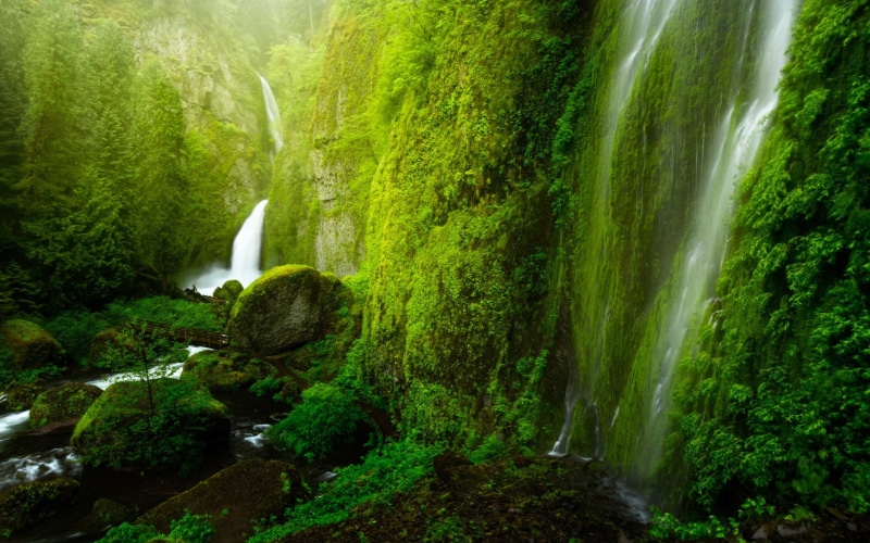 long exposure, waterfalls, falling water, nature, plant, scenics - nature, Wahclella Falls, stream - flowing water, beauty in nature, landscape, moss, landmark
