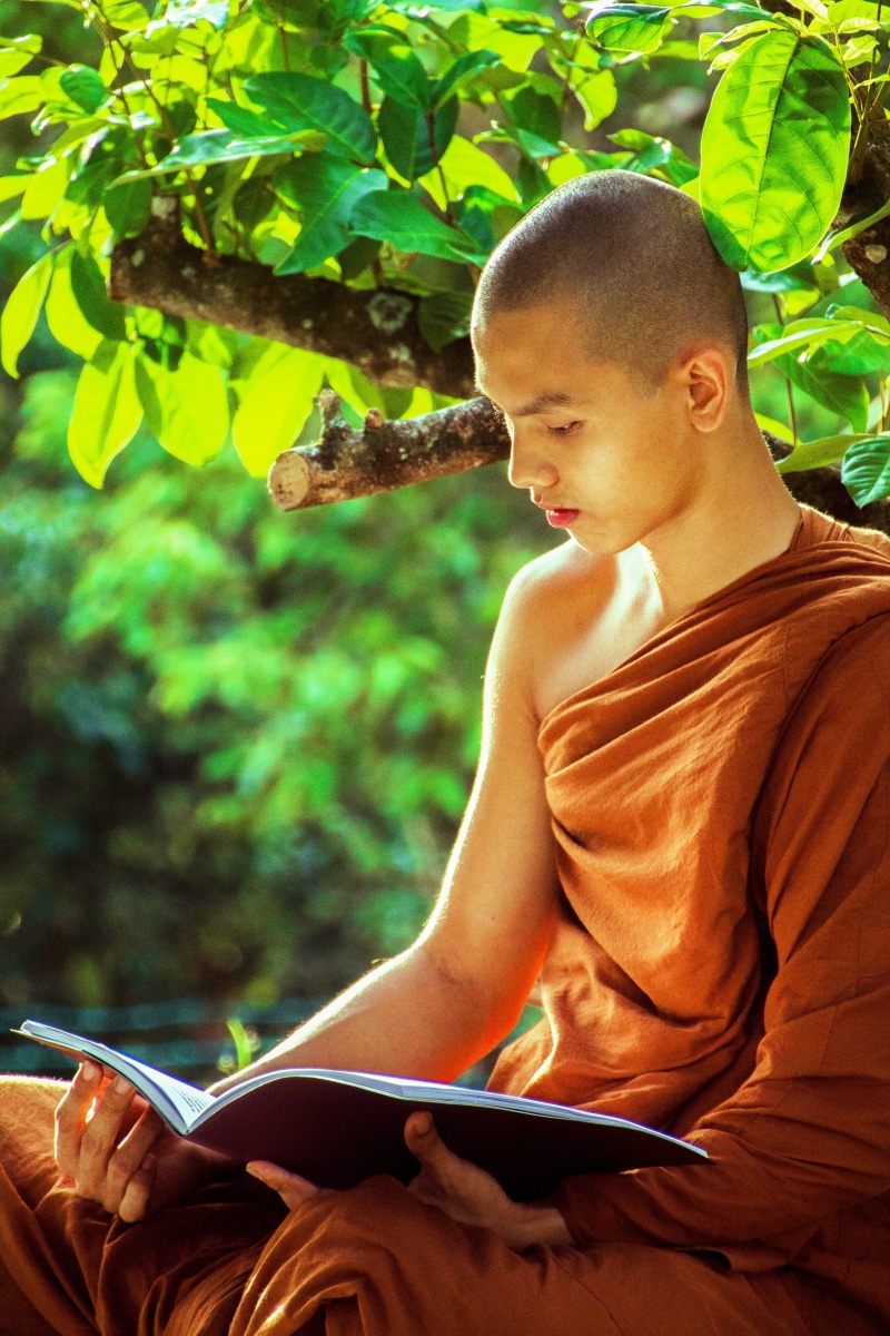 publication, nature, monk chanting, person, looking, spirituality, day, one person, plant part, beside, leisure activity, sitting, monk, real people, young monk