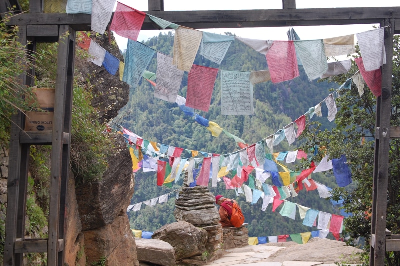 architecture, low angle view, spirituality, tree, 2K, buddhism, prayer flags, outdoors, hanging, built structure, belief, bhutan, clothesline, paper, no people