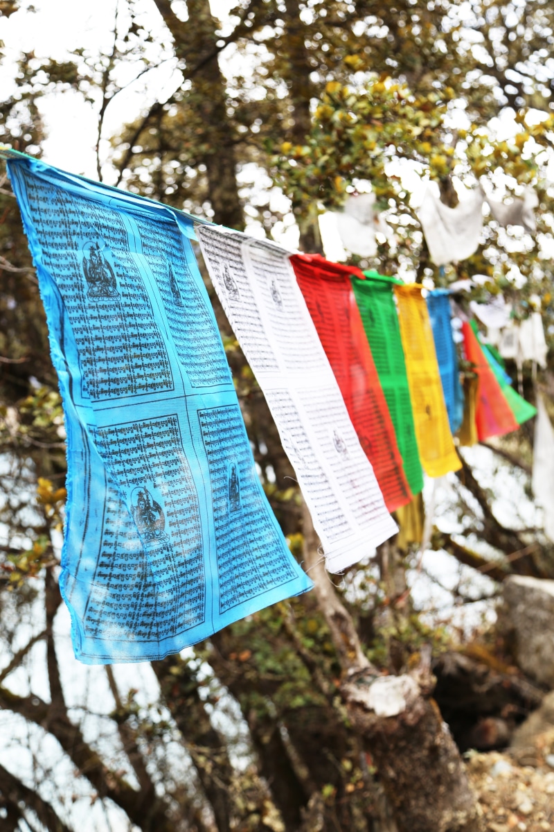 close-up, basong, text, tree, textile, spirituality, non-western script, lake, plant, color, day, prayer flags, communication, paper, belief, 5K, religion