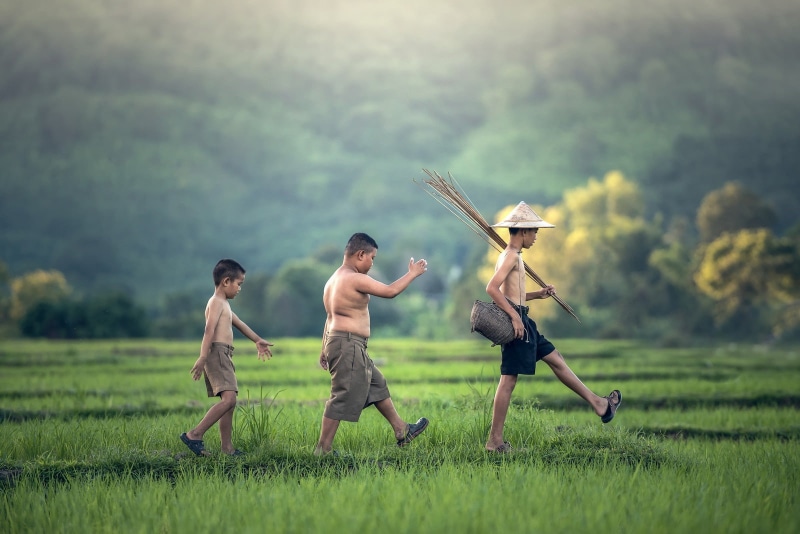 plant, group of people, shorts, Thailand, togetherness, running, childhood, 720P, outdoors, full length, boys, grass, males, friendship, real people, lifestyles
