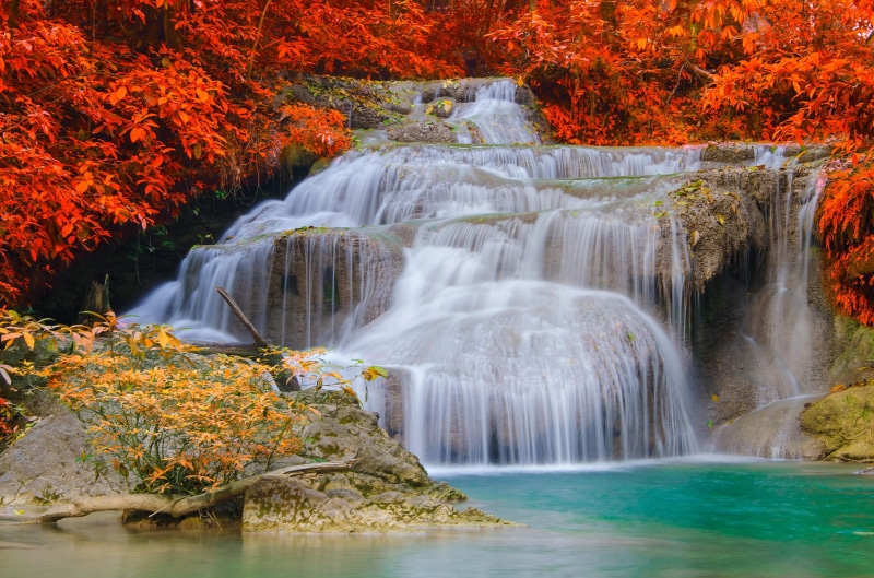 leaf, 5K, 4K, Erawan Falls, lapse, Waterfall, waterfalls, Thailand, 5K, Erawan National Park, time, brown, trees