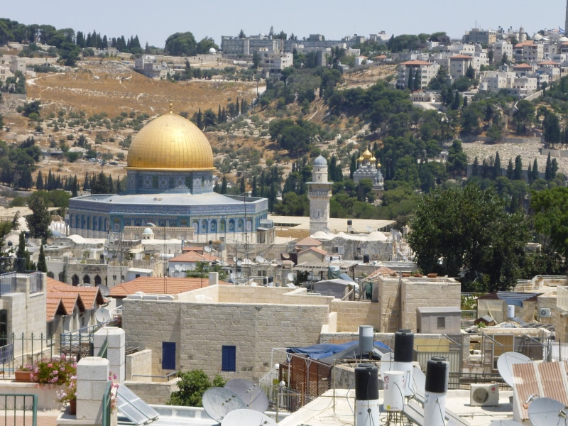 tree, mosque, the past, temple mount, day, city, dome, place of worship, history, building exterior, travel destinations, jerusalem, travel, religion, crowd