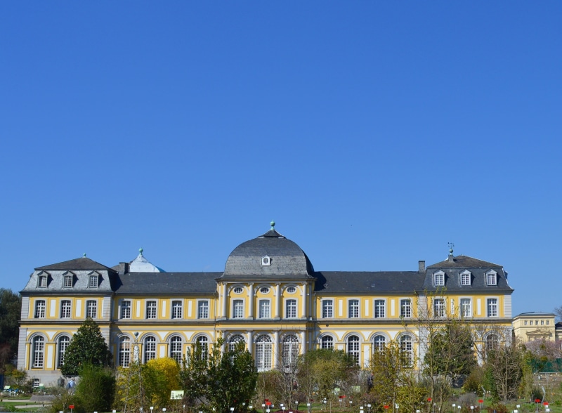 building Exterior, Bonn, travel destinations, 2K, built Structure, house facade, history, sunny, blue, architecture, plant, historically, the past, copy space