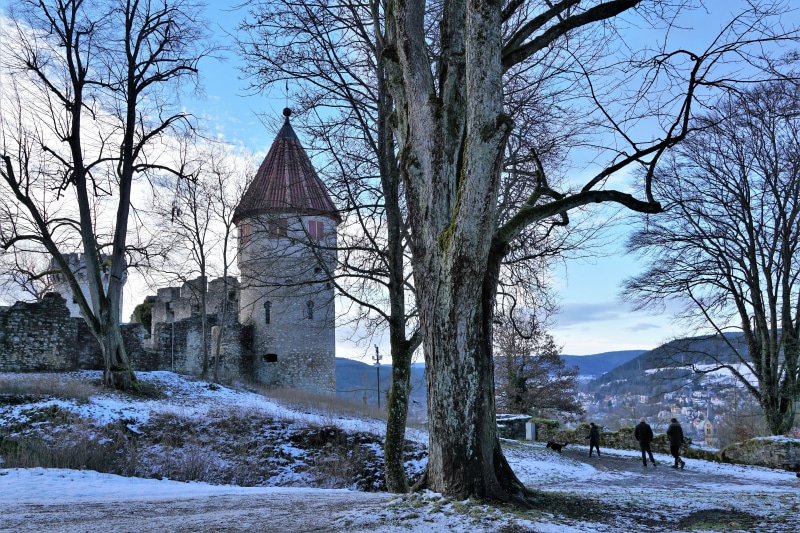 snow, built structure, building, happy, rest, fun, tower, center later, possession, park, festival, art, evening, architecture, white, house, animal, wealth