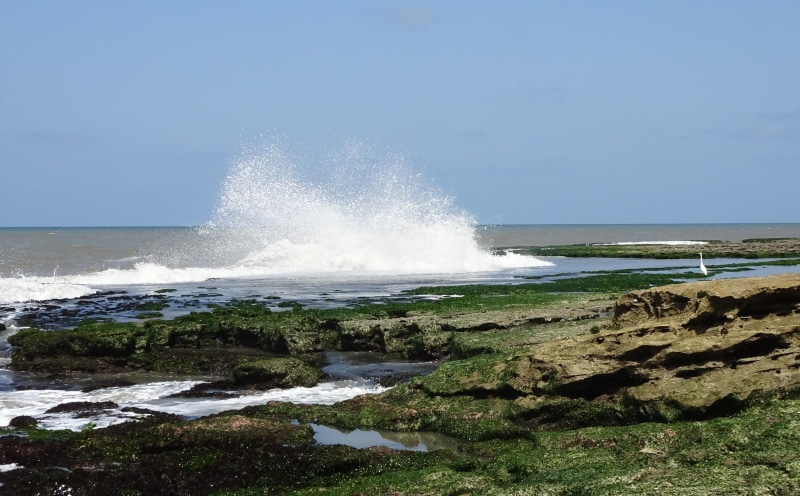outdoors, breaking, day, sea, no people, beauty in nature, india, somnath, beach, scenics - nature, land, rocky, splash, motion, clear sky, sky, horizon over water