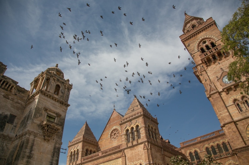 animal, built structure, outdoors, tower, india, low angle view, gothic Style, spire, bird, building exterior, history, animal themes, religion, british king