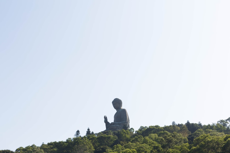 plant, tree, buddha, one person, real people, beauty in nature, 5K, lifestyles, men, nature, growth, copy space, leisure activity, day, hong kong, land