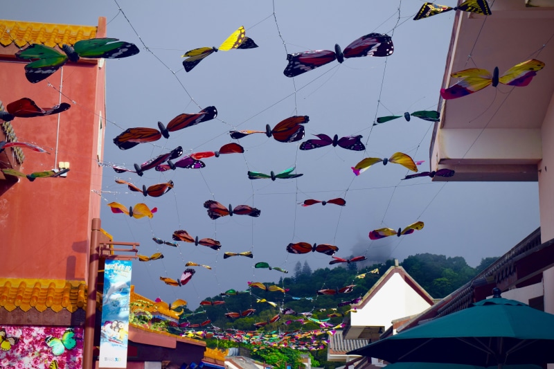 creativity, day, multi colored, hanging, celebration, colorful, buddah, no people, paper, building exterior, lanterns, butterflies, oragami, monarch, outdoors